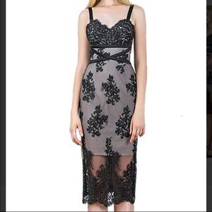 NWOT! Bronx and Banco gorgeous black lace dress! Size 12 Aus